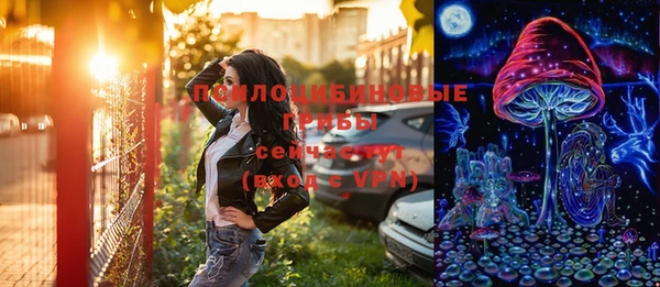 дмт Абаза