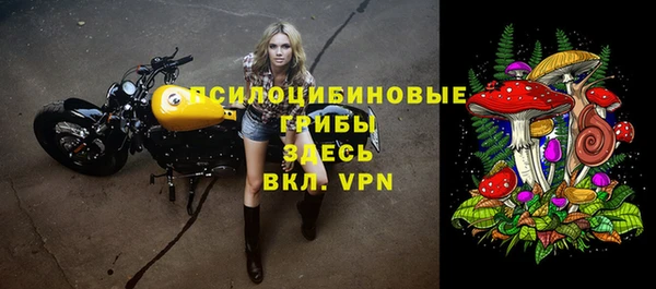 дмт Абаза