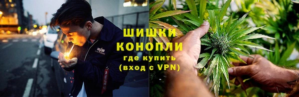 дмт Абаза