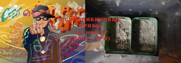 дмт Абаза