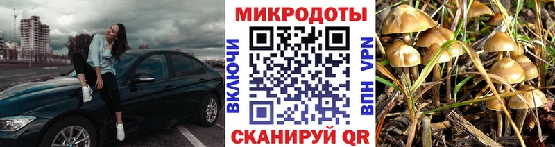 Псилоцибиновые грибы MAGIC MUSHROOMS  omg онион  Северодвинск 