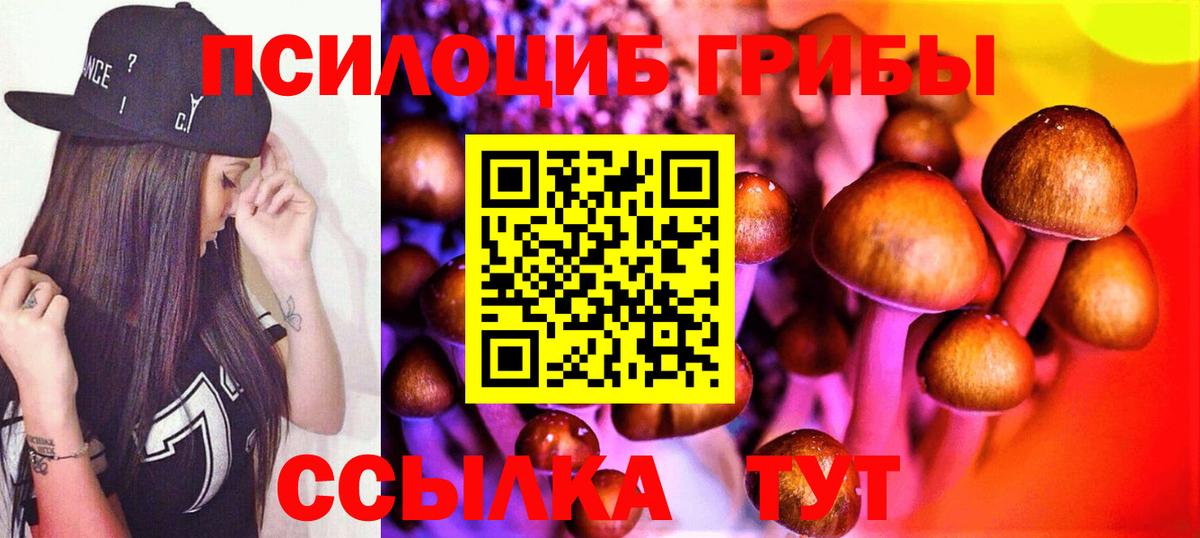Псилоцибиновые грибы GOLDEN TEACHER Северодвинск