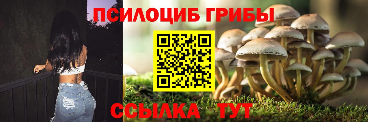 Галлюциногенные грибы мицелий  Вход с VPN  Северодвинск  Галлюциногенные грибы мухоморы 